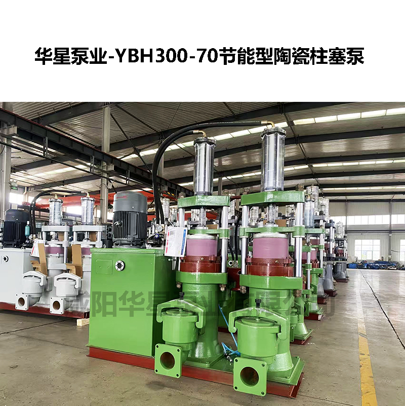 有機肥污水處理柱塞泵泥漿泵